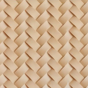 Braid
